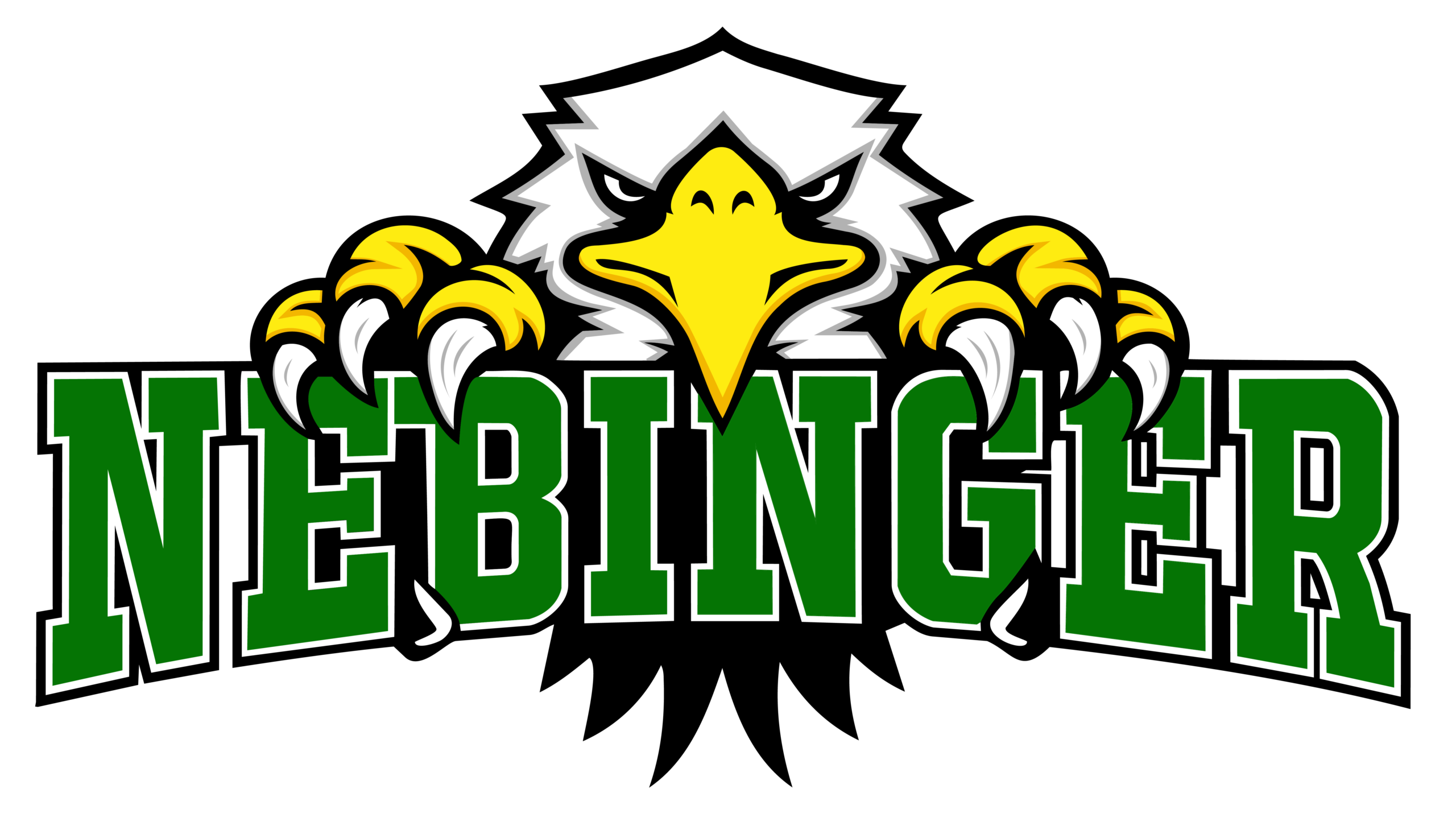 George W. Nebinger School